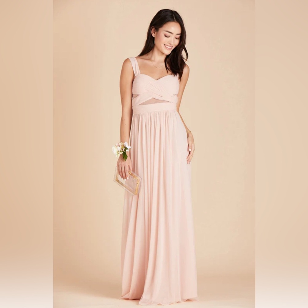 Birdy Grey ELSYE DRESS in Pale Blush (Mesh)